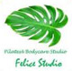 Felice Studio